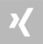 Xing Icon